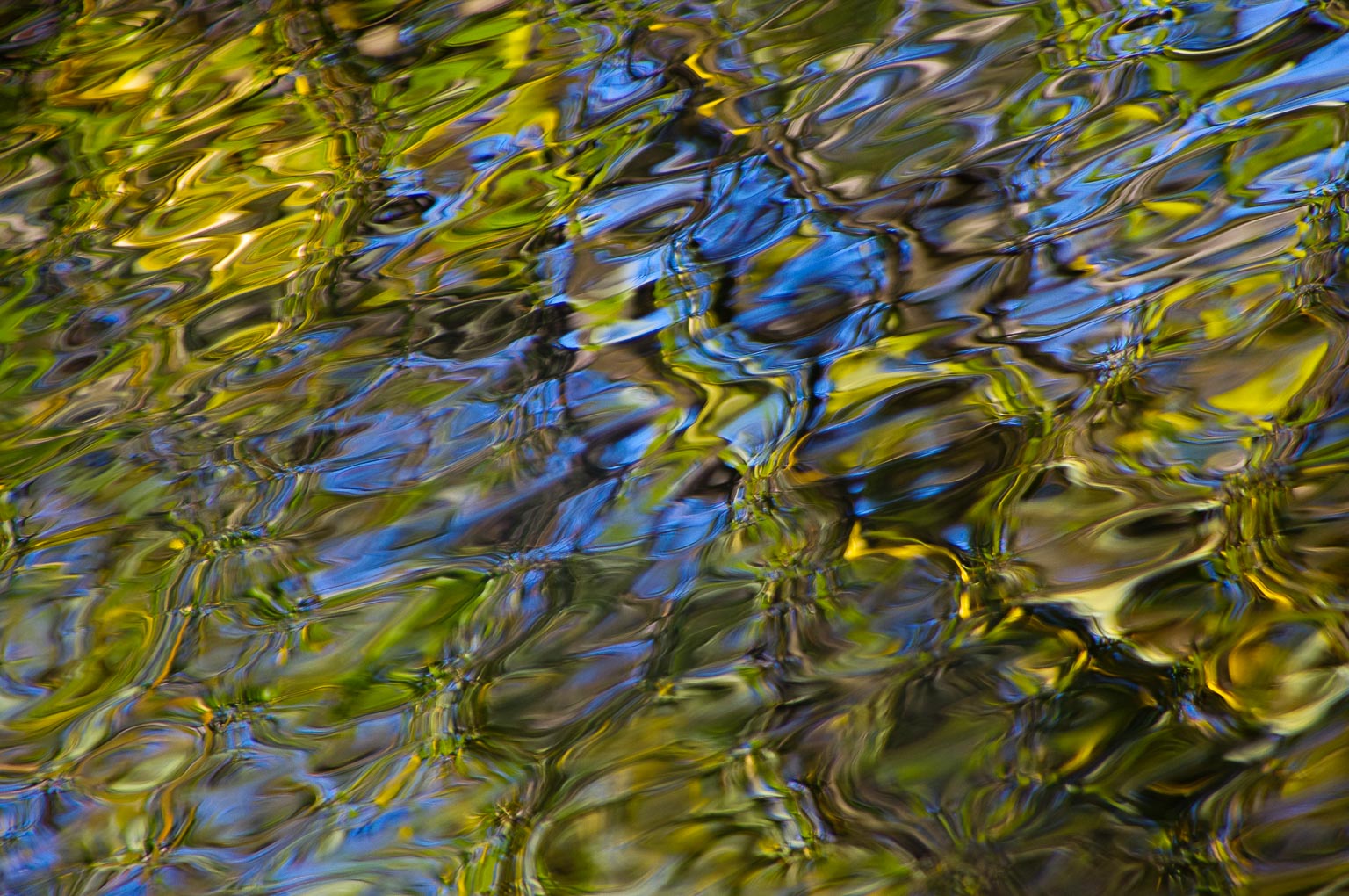 Ripples