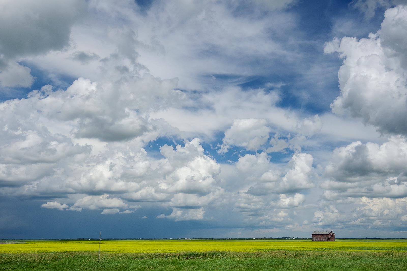 Sky