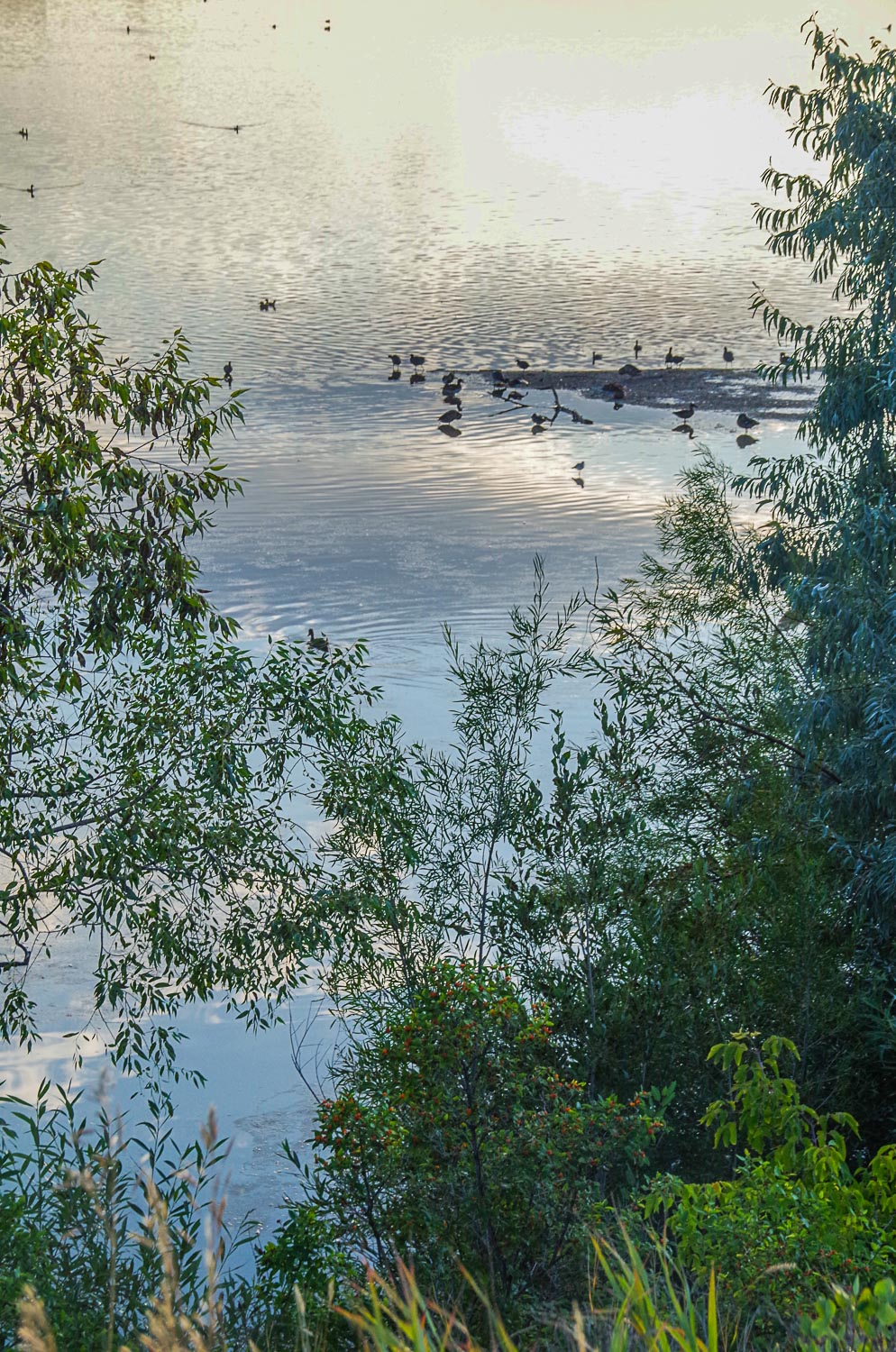 Wascana