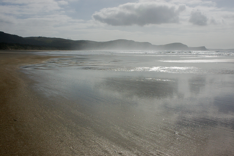 Catlins Early Morning