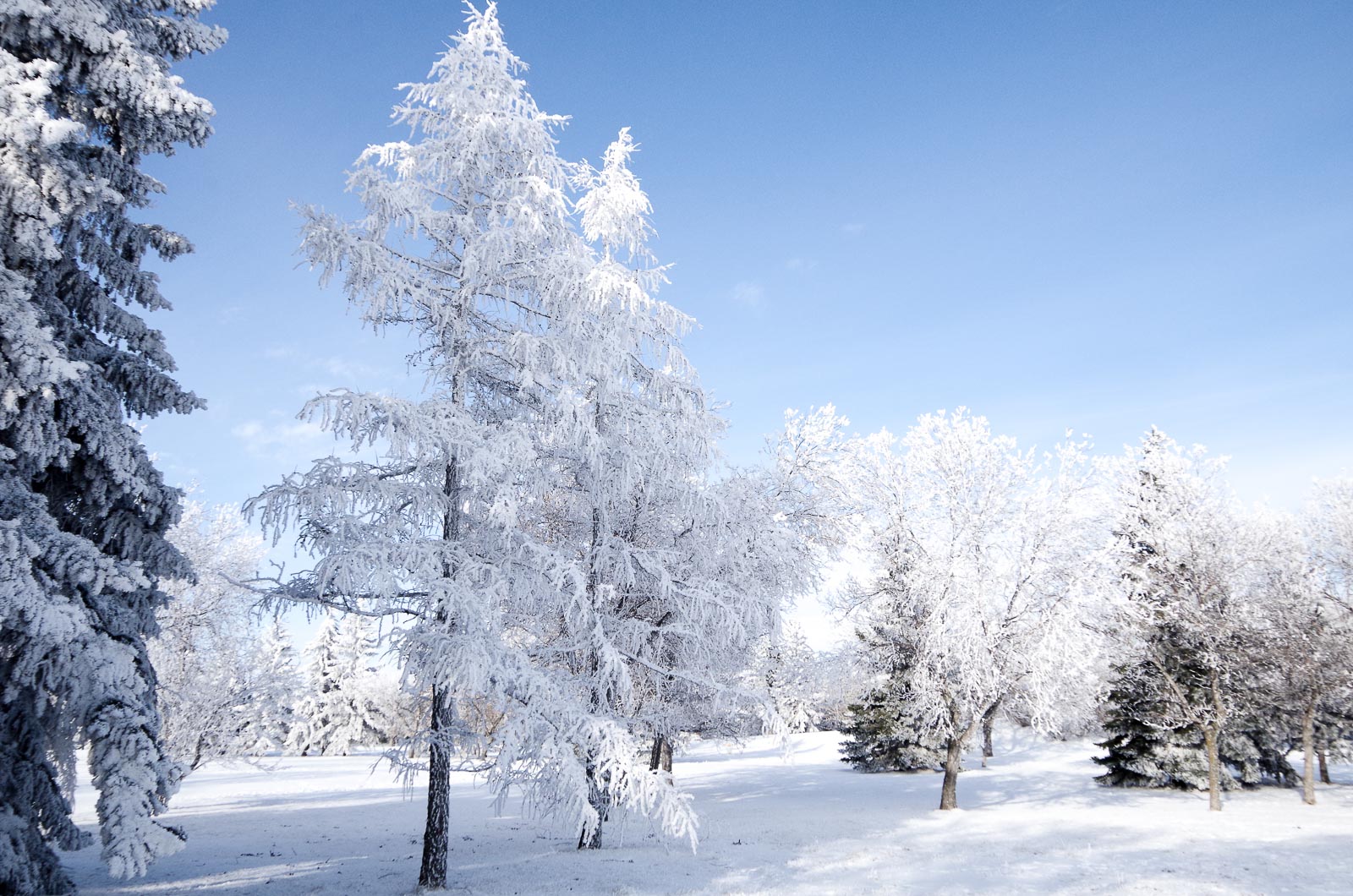 Winter