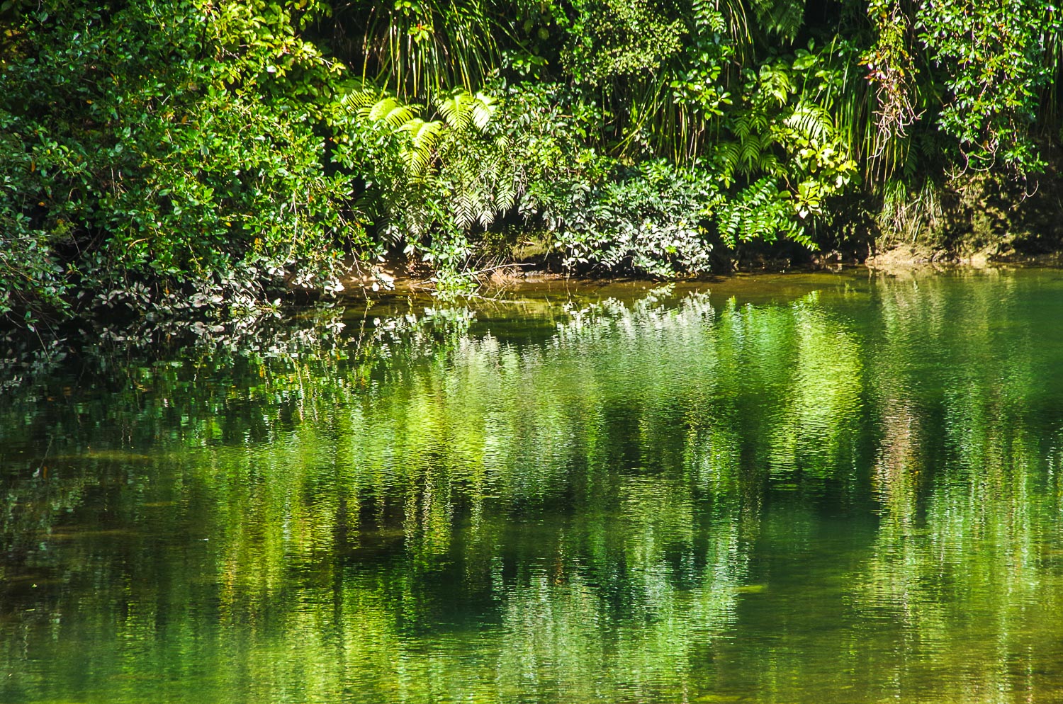 Pond