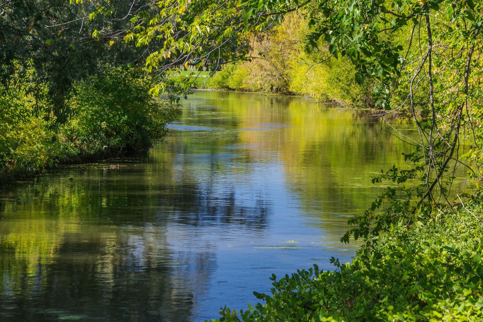 Wascana along the path