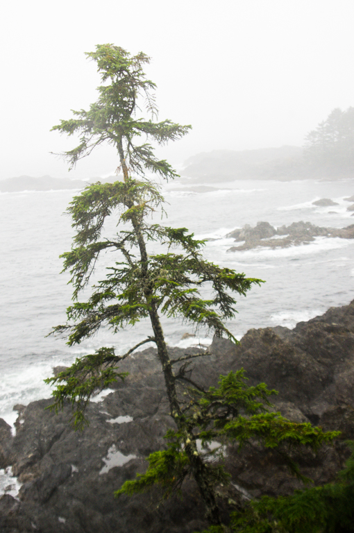 West Coast