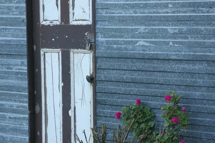 Door and flowers