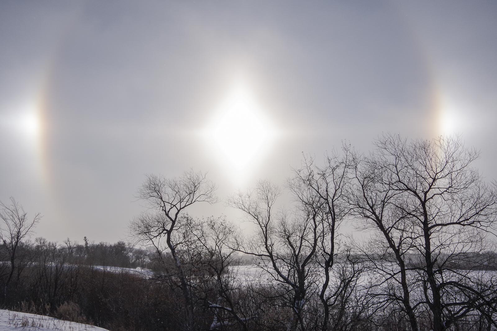Sundog