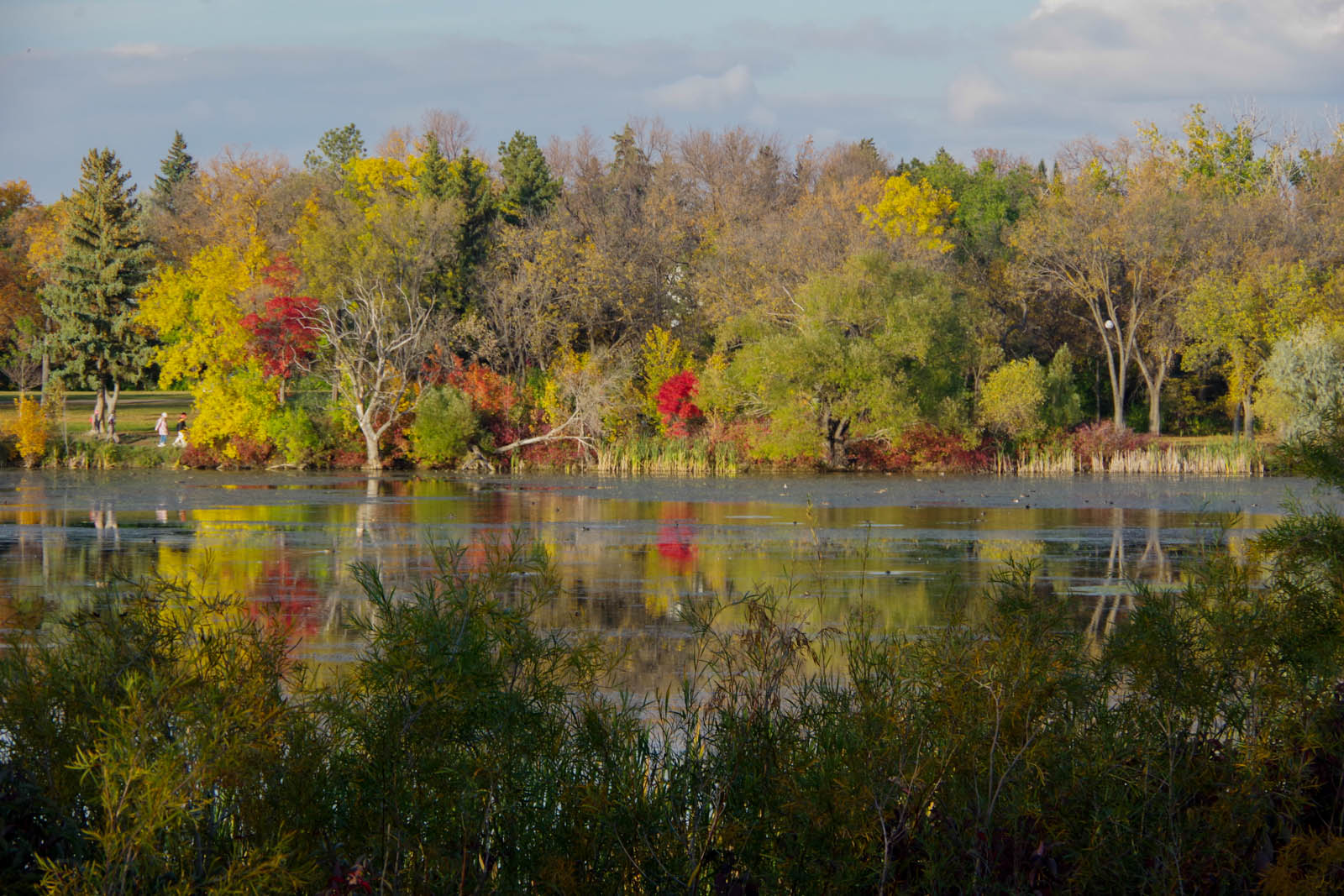 Autumn in Wascana