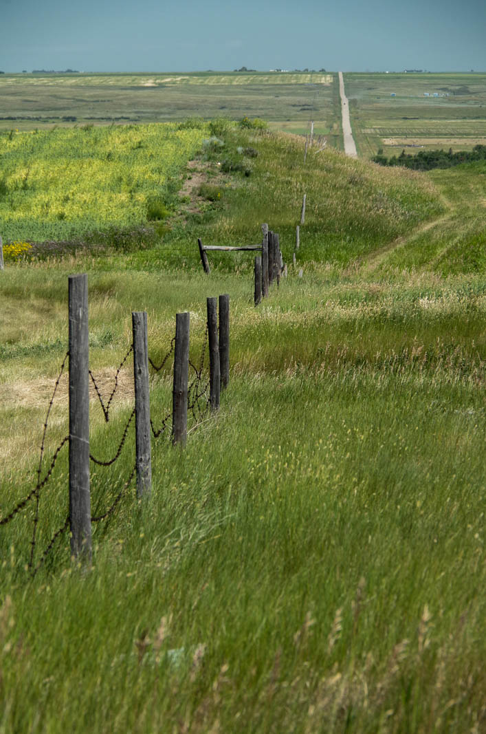 Spring in the country