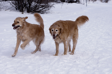 Keiko and Brandy